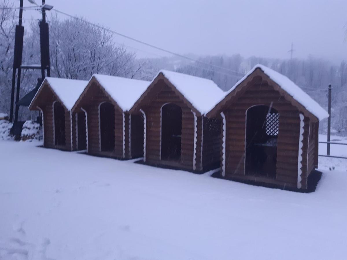 Hotel Mountain Dew Belasovitsa Exterior foto